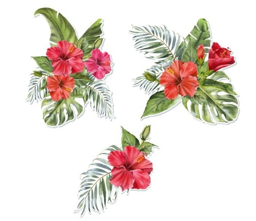 Tropical exotic flower - exotic,