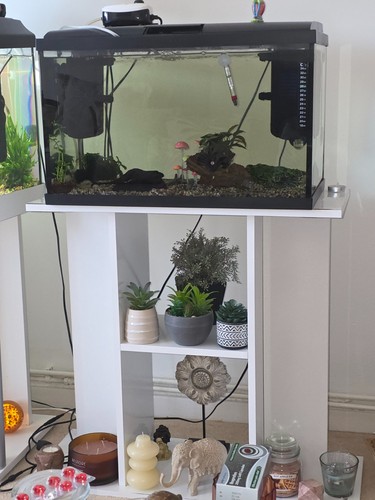 Litre aquarium tank with - 54,