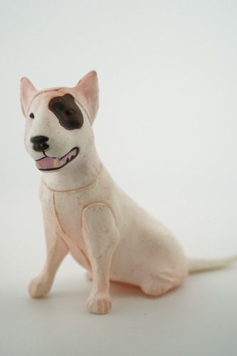 Dog bull terrier mini - dog,