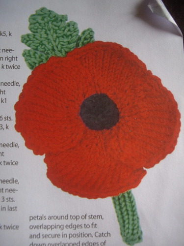Remembrance day red poppy - remembrance,