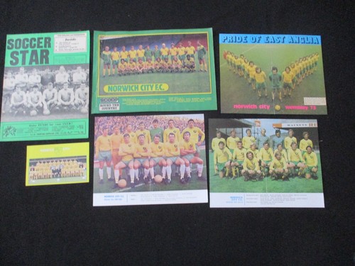 Norwich city football - norwich,