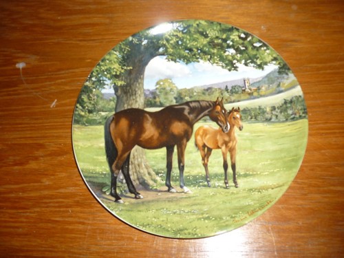 Boxed english thoroughbred - english,