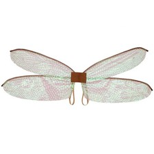 Colorful Dragonfly Butterfly Wing Kid Fairies Costume Accessory