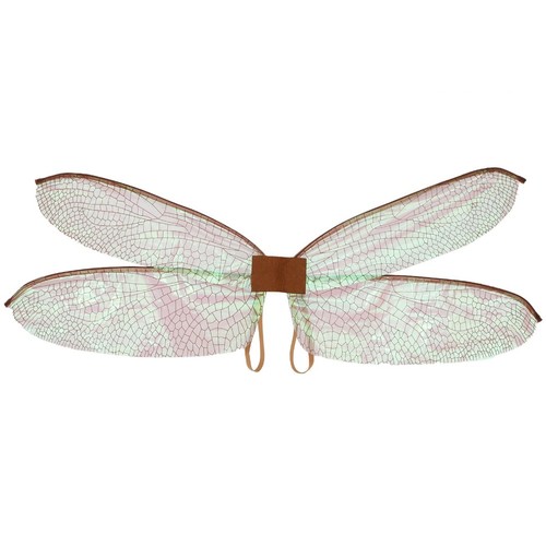 Colorful dragonfly butterfly - dragonfly,
