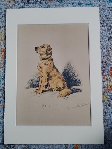 Lucy dawson artist - lucy,