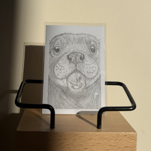 Aceo otter original sketch - aceo-otter,