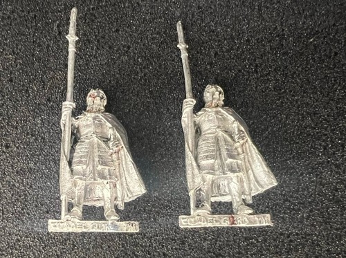 Citadel guard spearmen - x,