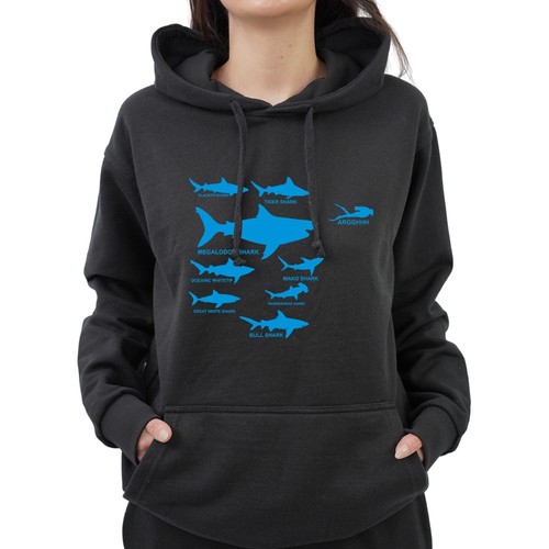 Shark hierarchy diver diving - shark,