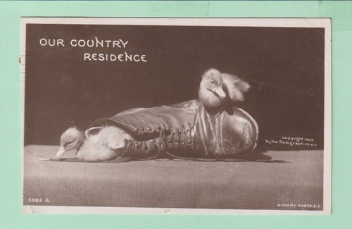 Real photo postcard our - real,
