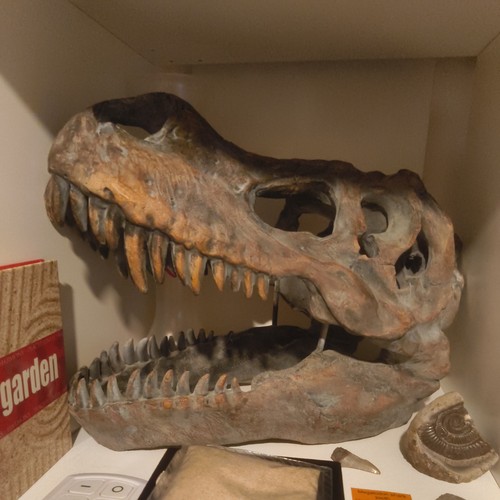 Nemesis now tyrannosaurus - now, rex