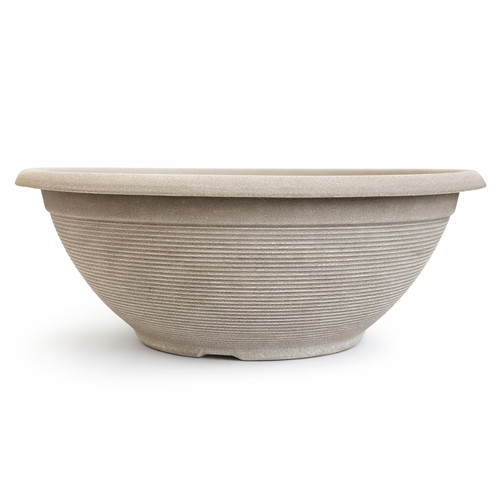 43cm beige grey bowl plant - plant, pot