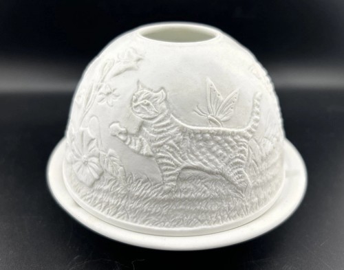 Cats kittens igloo dome - kittens, /