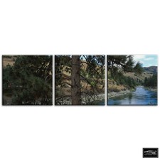 Forest Stream   Landscapes BOX