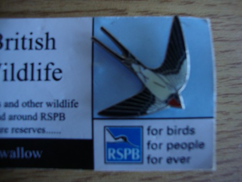 Rspb vintage enamel pin badge - enamel,
