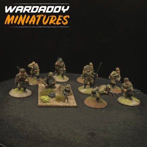 Pro painted 28mm - painted,