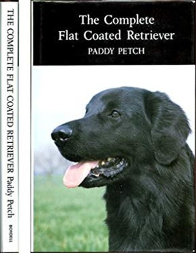 Flat coated retriever - flat,