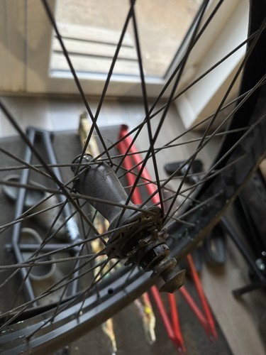 Kisbikeco rattlesnake rhd - rattlesnake, 9t
