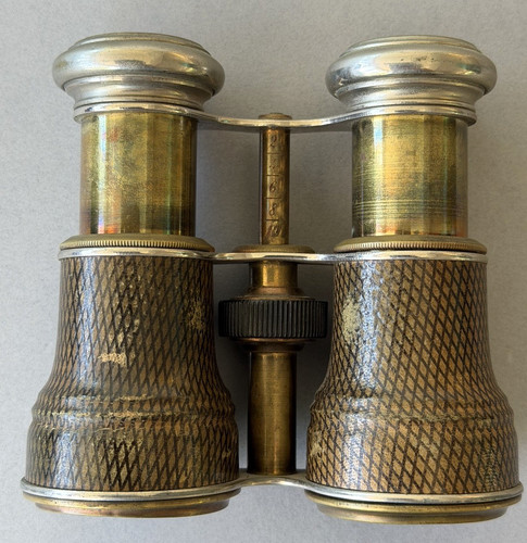 Vintage french snakeskin opera