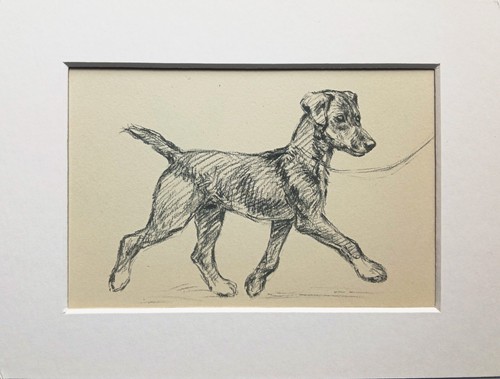 Mongrel puppy dog vintage