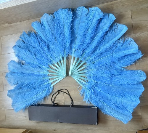 Pair blue ostrich - blue, feather