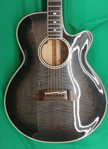 Takamine acoustic electric - takamine, acoustic-electric