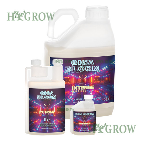 Intense nutrients giga bloom - giga,