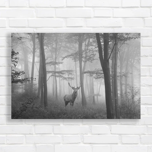 Captivating autumn deer stag - captivating,