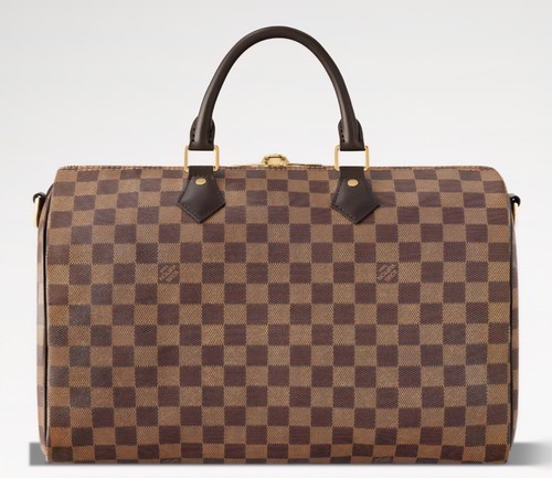 Louis vuitton bag - louis,
