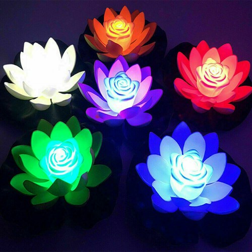 Solar powered rgb - rgb, flower