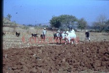 35mm Slide 1993 India Rural