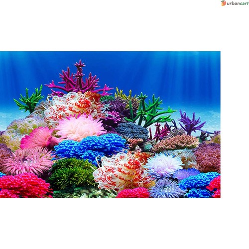 Vibrant undersea aquarium - vibrant,