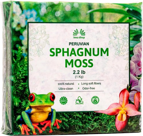 Peruvian sphagnum moss 1 - sphagnum, moss,