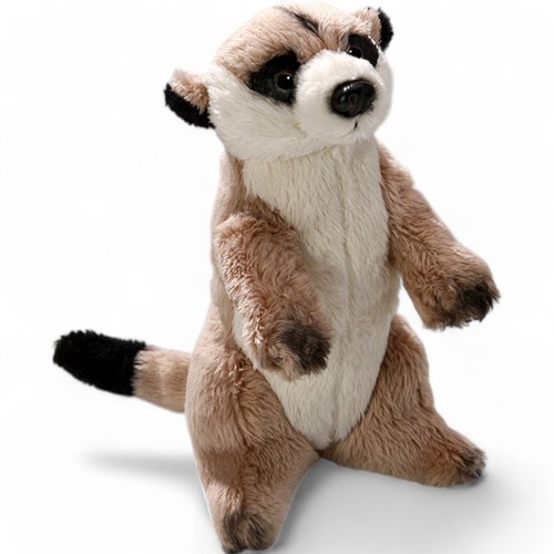 Carl dick meerkat cub - dick, cub,