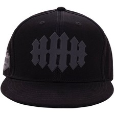 WWE TRIPLE H BLACKOUT HALL OF