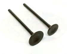 Inlet & Exhaust Valves for