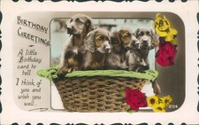Birthday greetings basket of puppies brown labradors windsors series real photo
