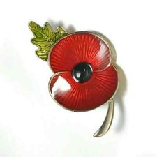 Red Poppy with green leaf