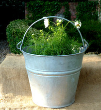 Galvanised metal Bucket planter tub Vintage Garden