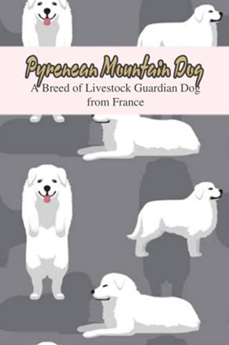 Pyrenean mountain dog - pyrenean, breed