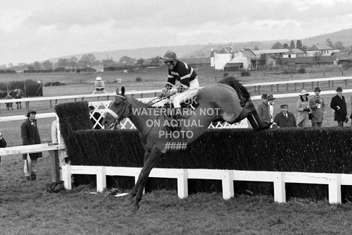 Escargot tommy carberry 1971 - l'escargot,