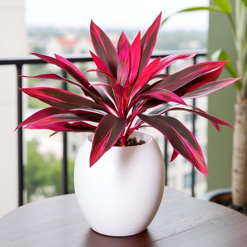 Artificial dracaena tree plant - artificial,