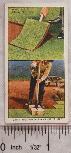 1938 wills garden hints 18 - hints, no.