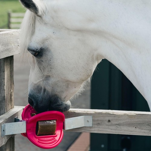 Bizzy horse ball - bizzy,