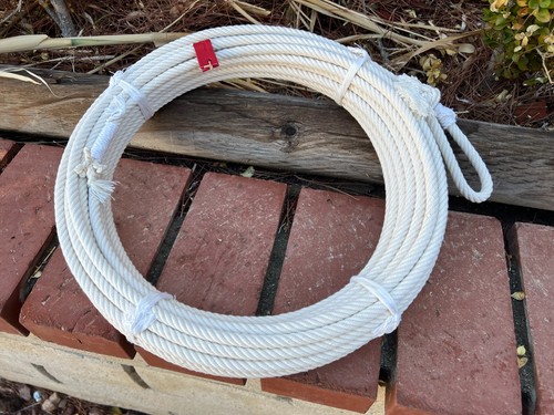Saddle horse charro rope - saddle,