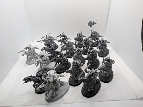 Age sigmar seraphon saurus - age,