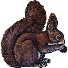 Squirrel Patch Iron Sew On T