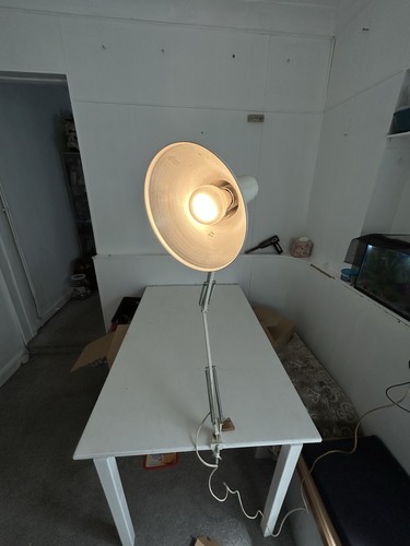 Vintage anglepoise lamp - anglepoise,