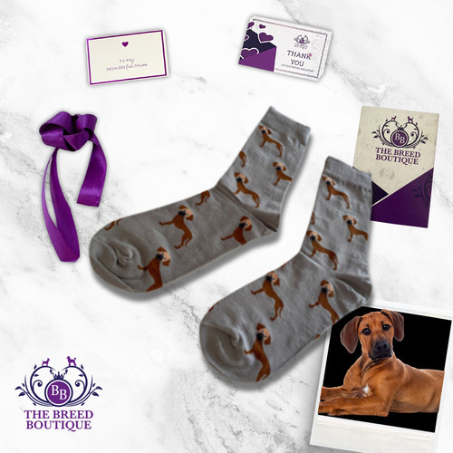 Rhodesian ridgeback socks - rhodesian,