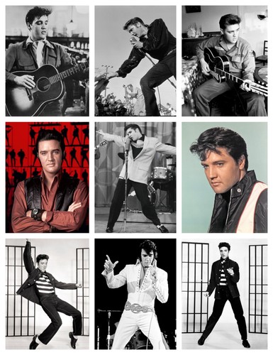 Elvis presley poster lots of - lots,
