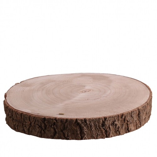 Natural wood log slice tree - slice,